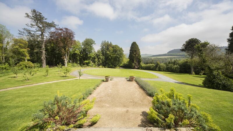 The garden