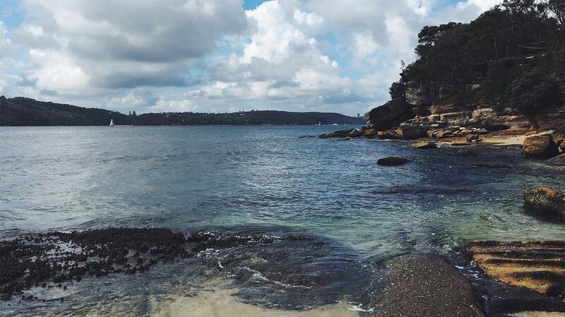 Shark Bay
