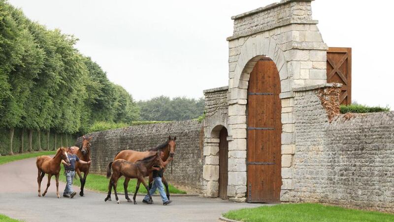 Ballylinch Stud, in Thomastown, Co Kilkenny: another of  Malone’s  Irish acquisitions