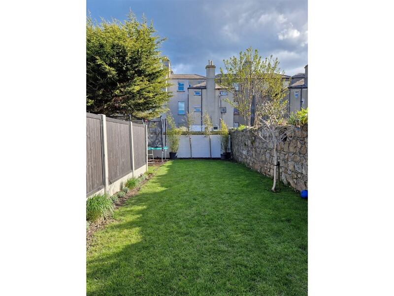 Back garden