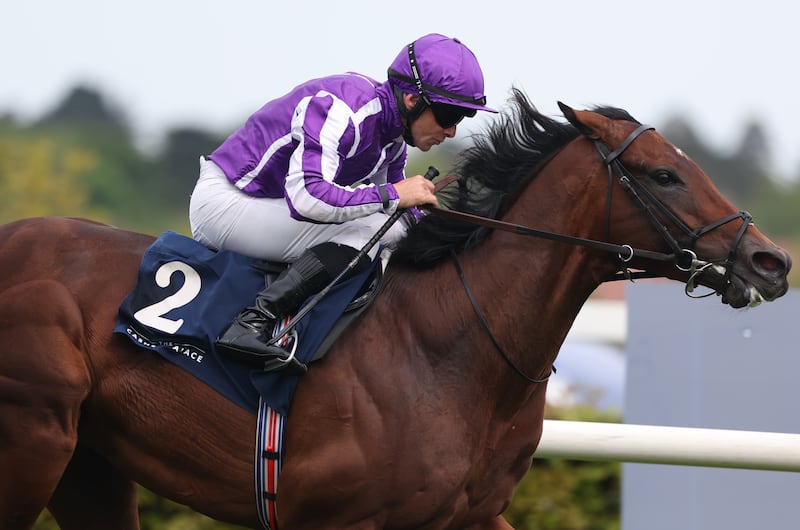Delacroix is one of two Aidan O'Brien-trained horse in the Eclipse. Photograph: Damien Eagers/PA Wire