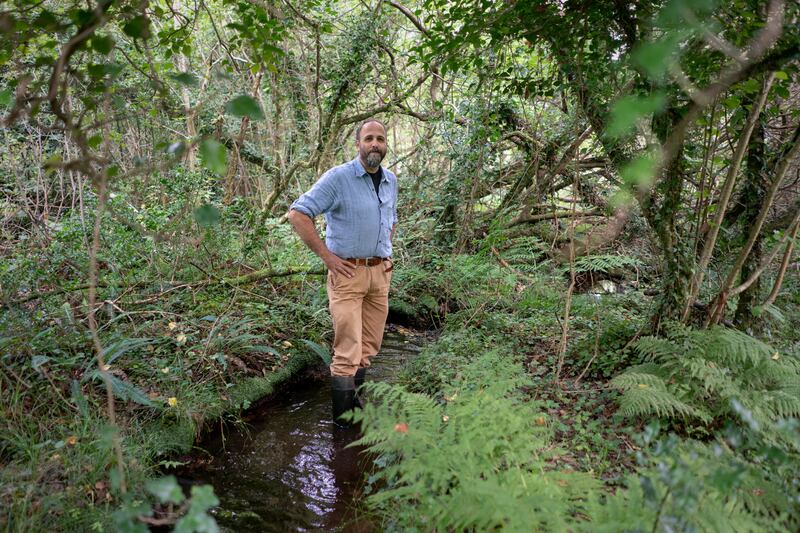 Rewilder Eoghan Daltun on the lower part of his Beara property, near Bofickil, which is in the later stages of temperate rainforest rewilding. 
Photograph: Chris Maddaloni/The Irish Times
