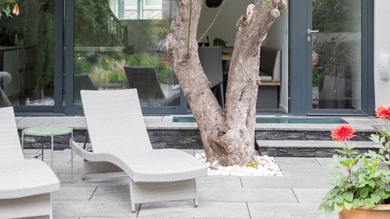 Build your terrace around a  mature tree, like the apple here, in the back of a mews house project in Ranelagh by Phillippa Buckley of Studio 44.