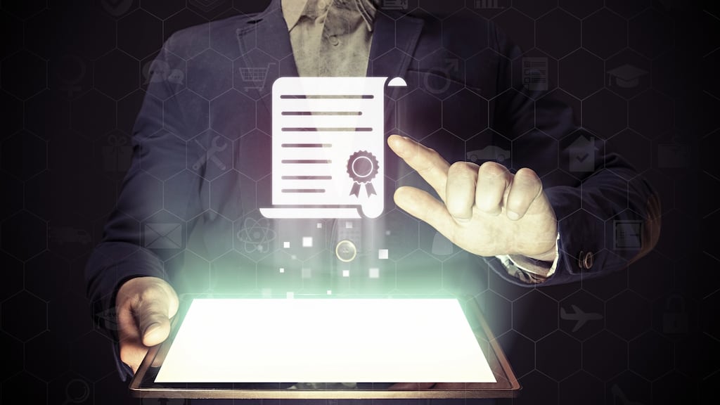 Graduate training programmes offer graduates a great opportunity to gain valuable experience in their chosen career area. Photograph: iStock