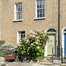 Restored Rathmines three-bed with edible garden on quiet Georgian terrace for €1.05m