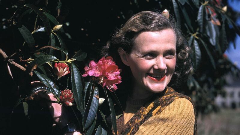 Daphne du Maurier: the novelist in 1947, shortly after the filming of Hungry Hill. Photograph: Popperfoto/Getty