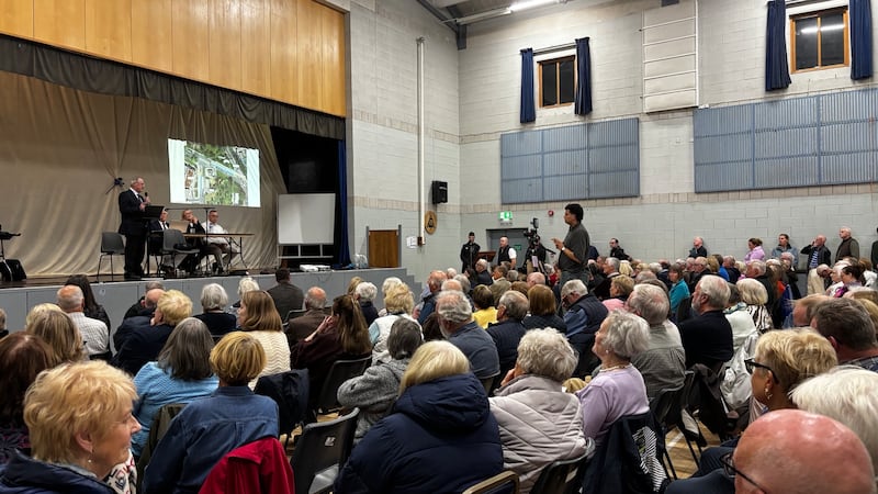 Dundrum residents voice opposition to ‘madcap’ bus plan for Dublin village at public meeting