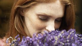 Smell of success: the human nose beats expectations