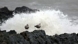 Storm Desmond causes destruction around Co Kerry