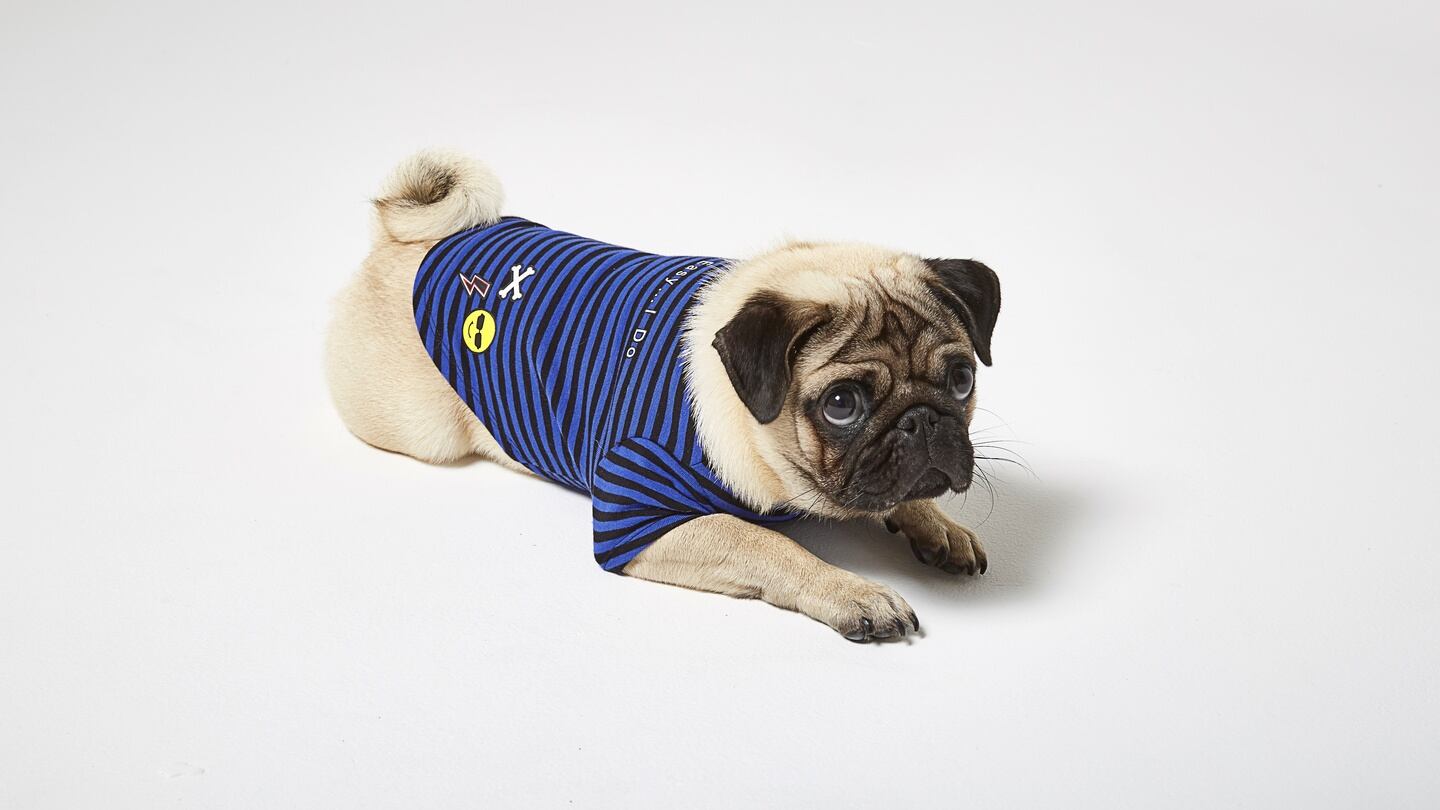 Blue stripe T-shirt (€13) from River Island.