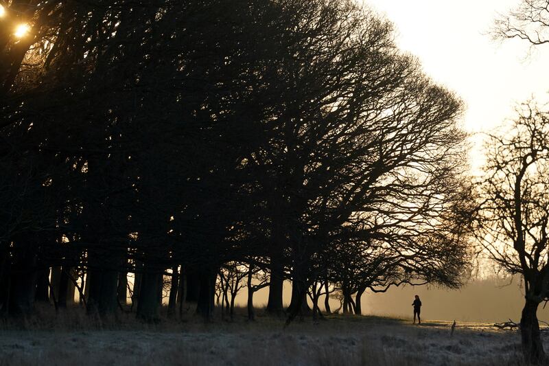 Ireland weather: A jogger braves the cold in Phoenix Park in Dublin, Ireland. Photograph: Brian Lawless/PA Wire
