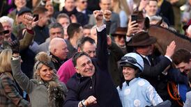 Sports Review 2023: Honeysuckle’s final magnificent hurrah