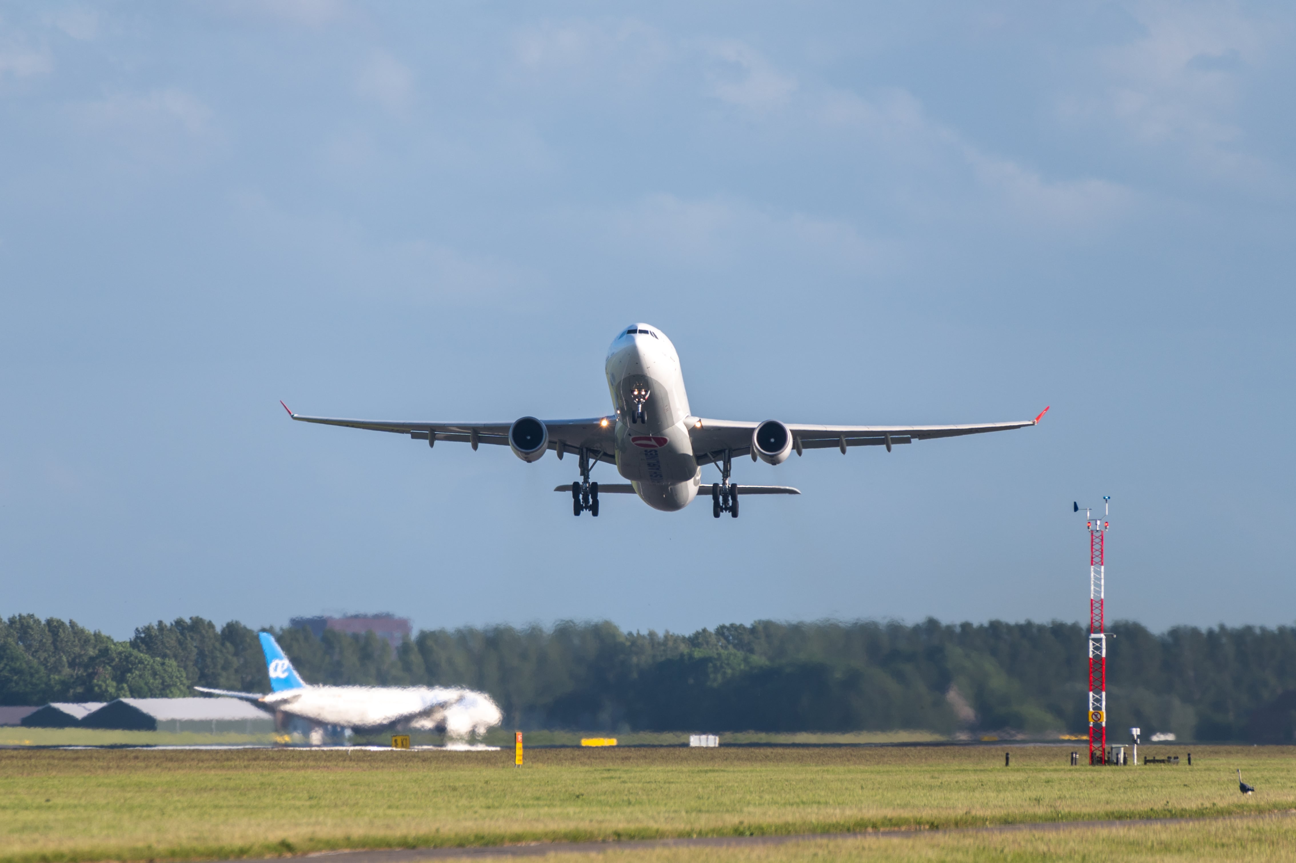 Deportation flight to South Africa cost more than €1m