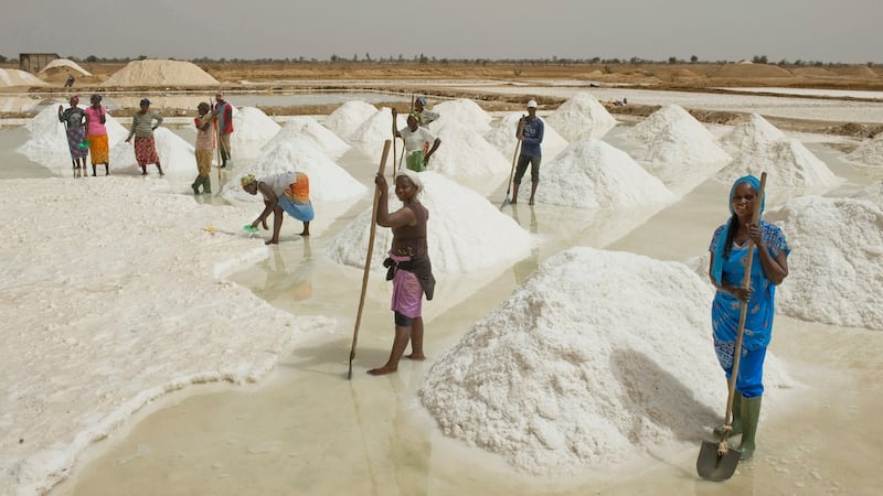 Marie Diouf aka Queen of Salt and her  staff among  piles of drying salt in one of the many human-made ponds at Fatick plains, Senegal. Photograph: Lar Boland