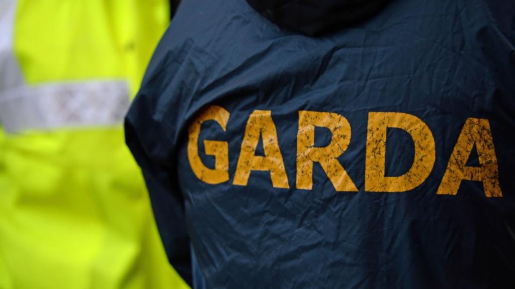 Gardaí have rescued a woman after tracking her mobile phone signal to wetlands in Limerick.