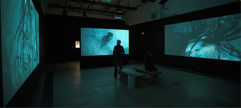 Clare Langan, Earthbound, Multi Screen Installation Centre Culturel Irlandais 2026
