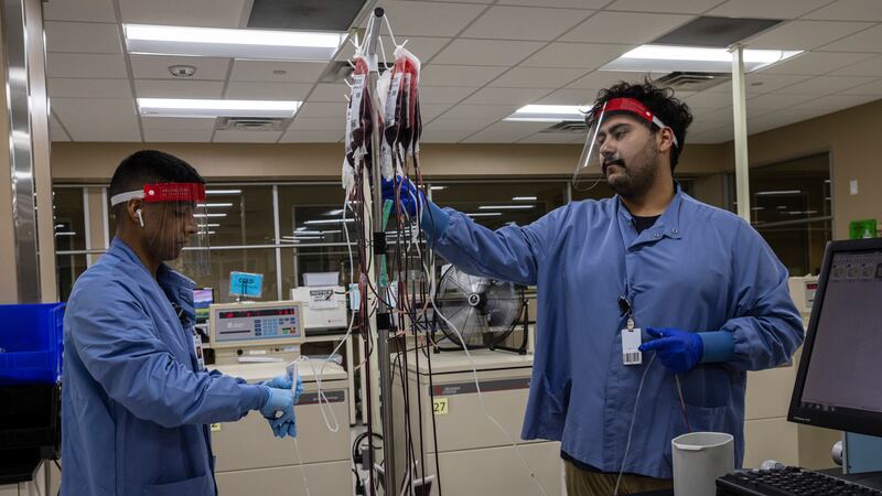 US food and drug administration ends ban on blood donations from gay and bisexual men