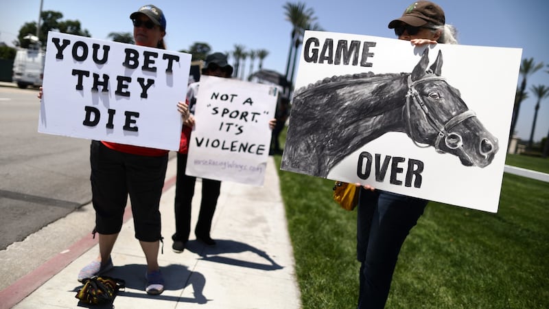 Animal rights activists protest  outside Santa Anita Park on the final day of the  season.  Photograph: Mario Tama/Getty Images