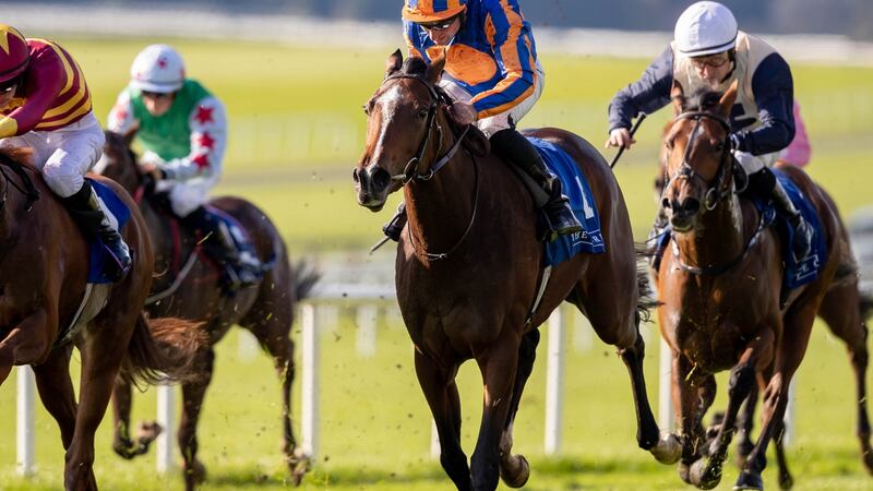 Fancy Blue runs in the French Oaks for Donnacha O’Brien. Photograph: Morgan Treacy/Inpho