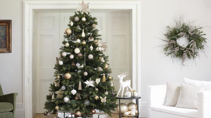 Brown Thomas Puleo Fraser Fir Tree, €310