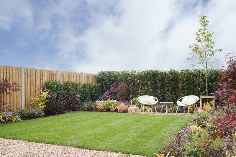 Back garden