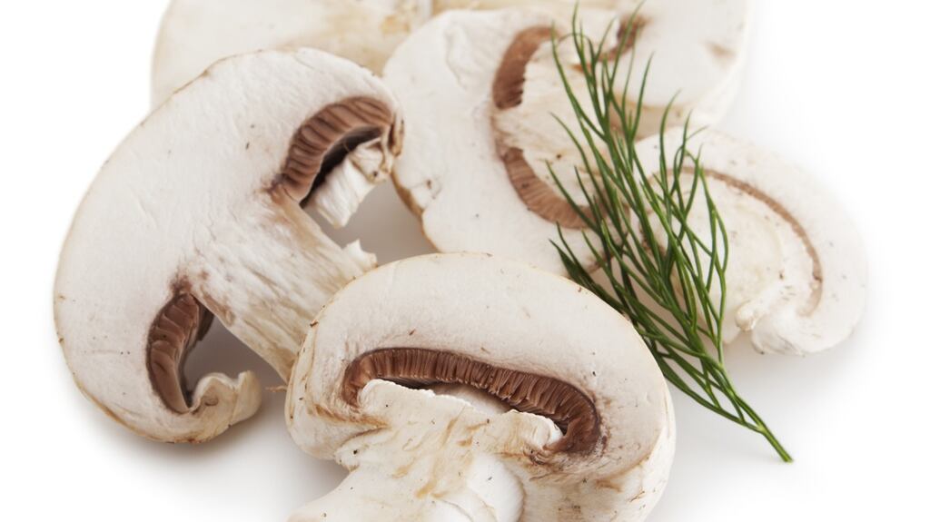 This recipe can be made with any mushrooms. Photograph: iStock