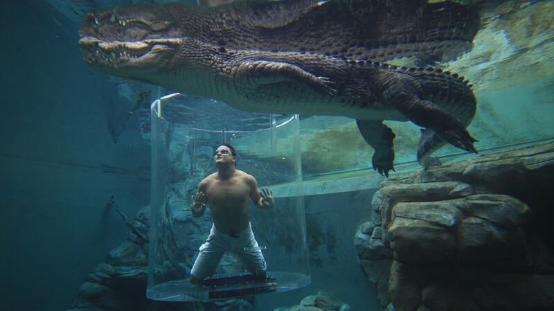 Crocosaurus Cove, Darwin, Australia
