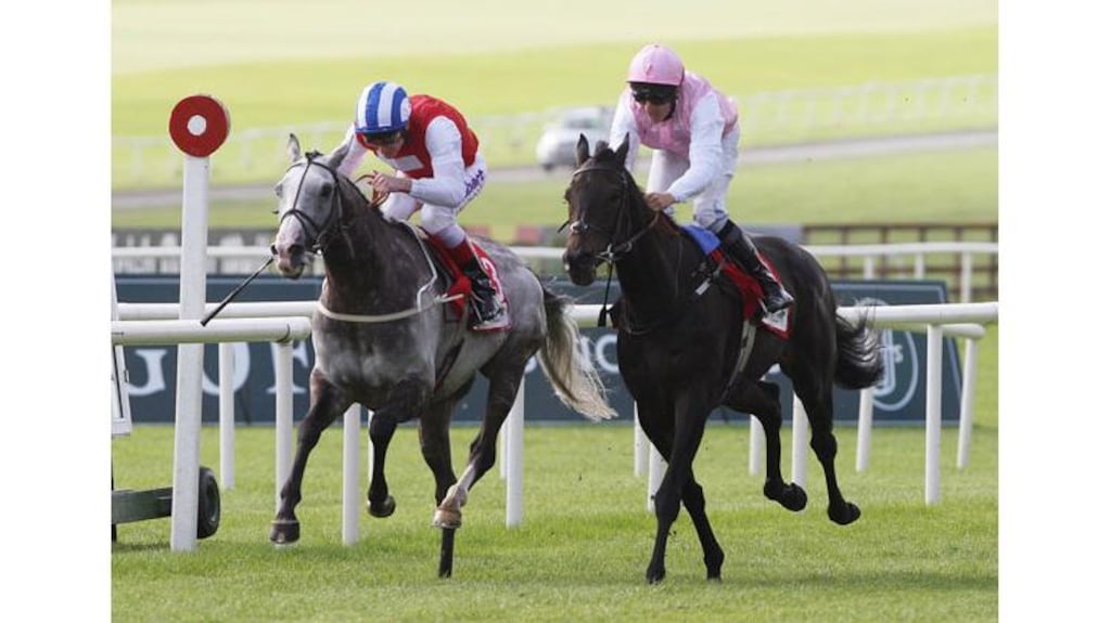 Duncan ridden by Eddie Ahern (right) and Jukebox Jury ridden by Johnny Murtagh cross the line together for a dead heat in the Irish Field St Leger at the Curragh. Photograph: Niall Carson/PA Wire.