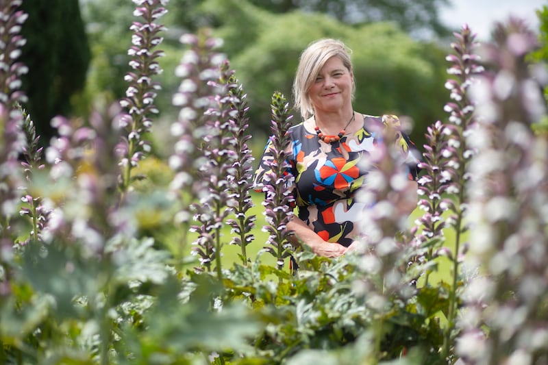Director of the National Botanic Gardens Noeleen Smyth. Photograph: Chris Maddaloni