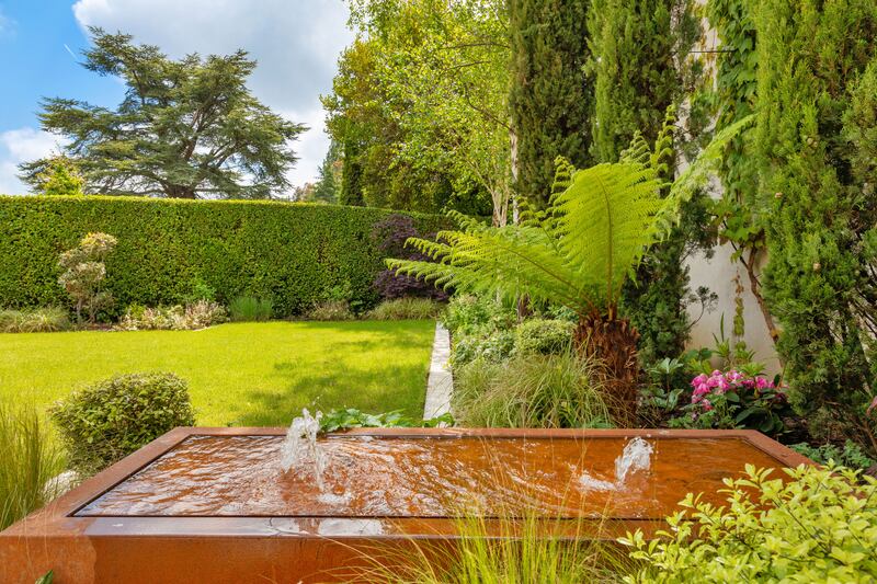 Back garden