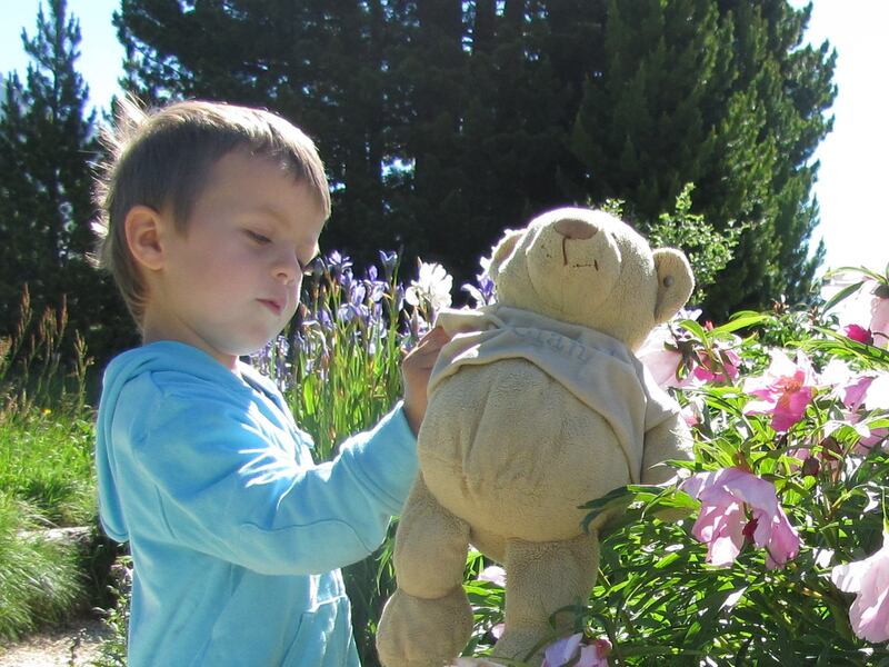 Samuel, aged four, in France with Teddy