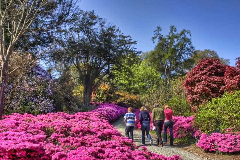 Mount Congreve Gardens and Country Estate has launched a range of accommodation