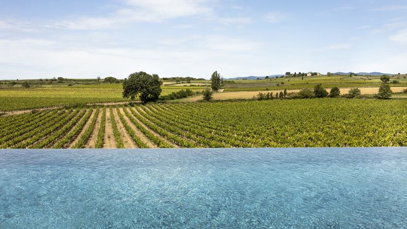 View from the infinity pool over vineyards at the Château St Pierre de Serjac