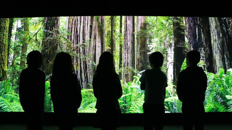 Children taking part in the Cool Planet Experience on the grounds of Powerscourt House and Gardens, Co Wicklow.