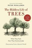 The Hidden Lives of Trees