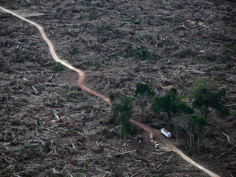 Environmental and climate crises present ‘growing peril’ for humanity, UN report warns