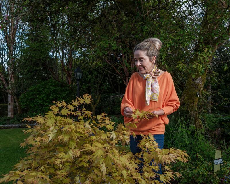 Photograph: Michael McLaughlin