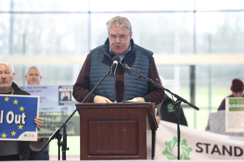 Independent Ireland MEP Ciaran Mullooly: 'The evidence has been eaten.' Photograph: Enda O'Dowd