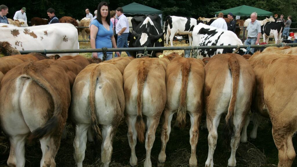 If the Government fails to meet EU emissions targets by 2020 it could face a fine of between €140 million to €600 million. Photograph: Frank Miller