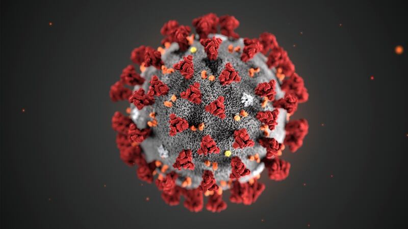 An illustration of the 2019 Novel Coronavirus (2019-nCoV), provided by the US Centers for Disease Control and Prevention. Illustration: CDC/AP