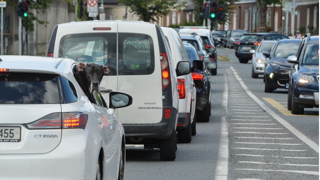 A dog sticks its head out a window of a passing car on Dublin’s Merrion Road last week. Photograph: Alan Betson / The Irish Times