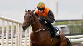 Willie Mullins-trained steeplechase winner keeps Killarney race despite appearing not to jump a fence