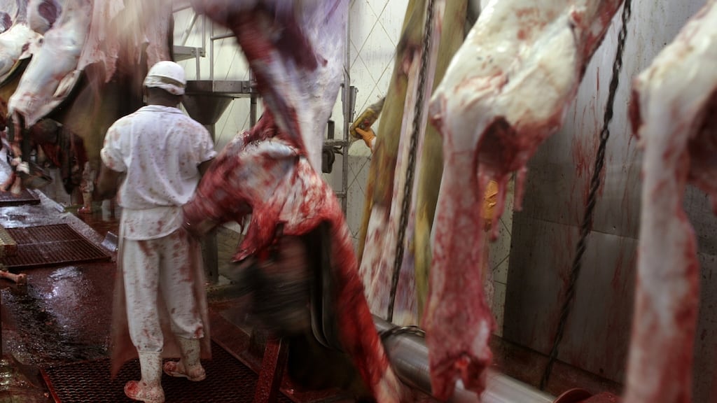 EU rules require cattle in the Republic to have tags and passports identifying each animal, allowing them to be traced through their lives to slaughter and processing