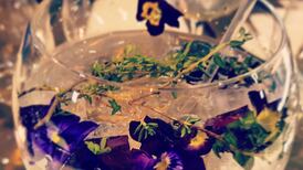 Whatever happened to the humble gin and tonic?