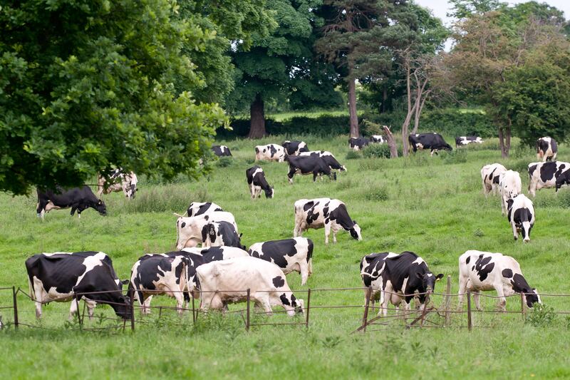 Dairy sector battling energy costs and can you and your employer afford for you to have a baby?