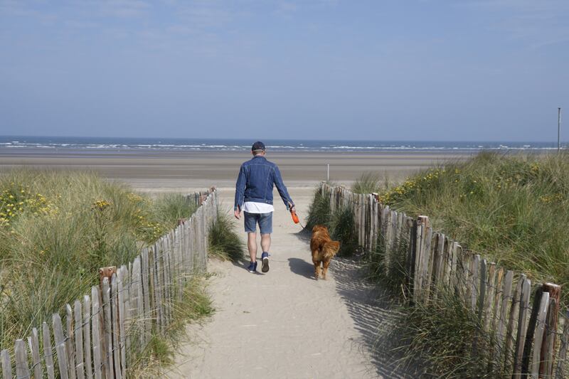 There has also been a noted depletion of sand from the beaches adjacent the Bettystown (pictured) and Portrane. Photograph: Nick Bradshaw for The Irish Times
