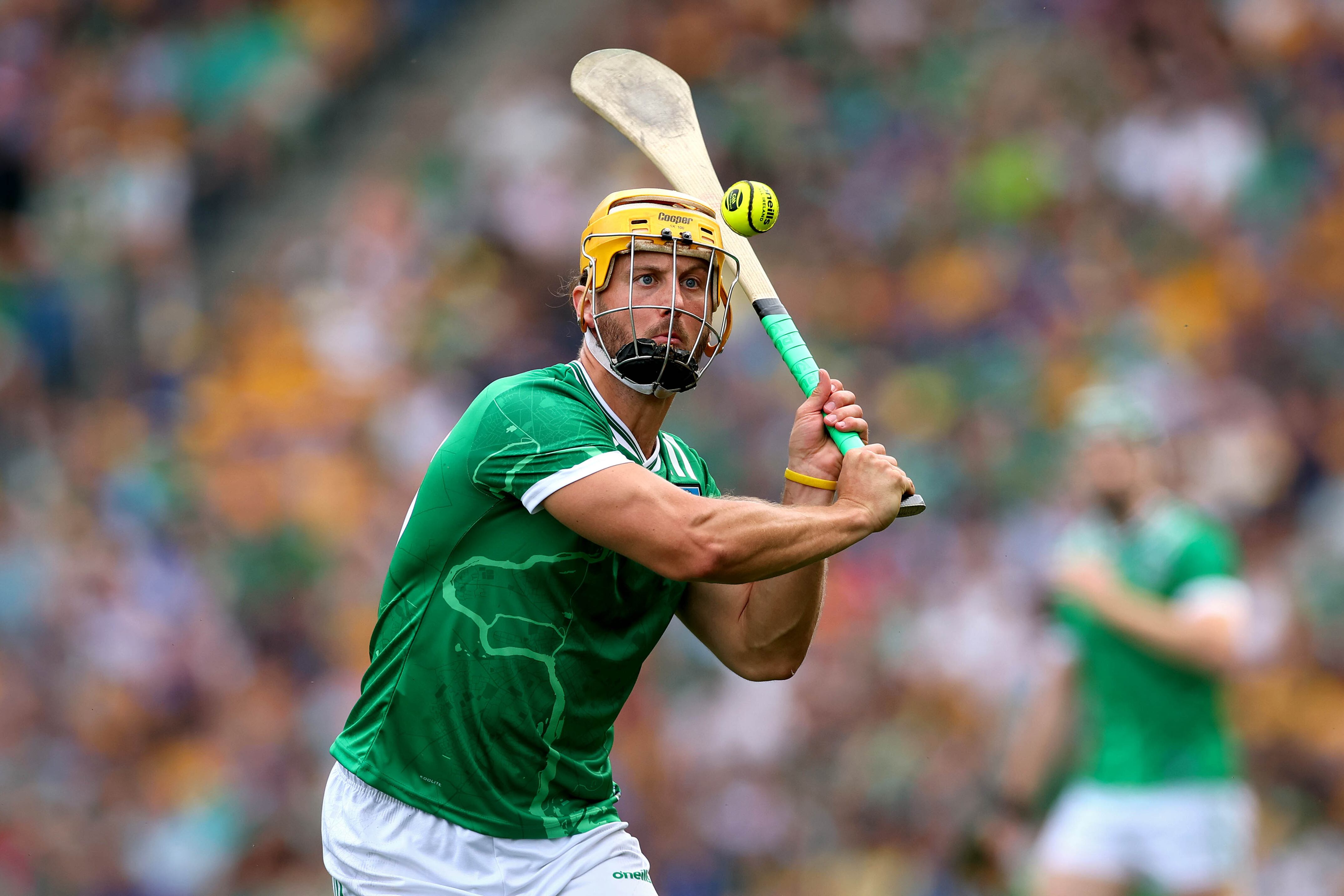‘Once you get one, you want it again’: Tom Morrissey says Limerick still hungry for success