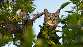 Hilary Fannin: The person I sleep with jumped to his feet, but it was too late