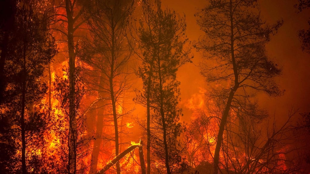 A blaze on Evia (Euboea) island, Greece’s second largest island, on August 8, 2021. The region suffered its worst heatwave in decades, which experts have linked to climate change. Photograph: Angelos Tzortzinis / AFP