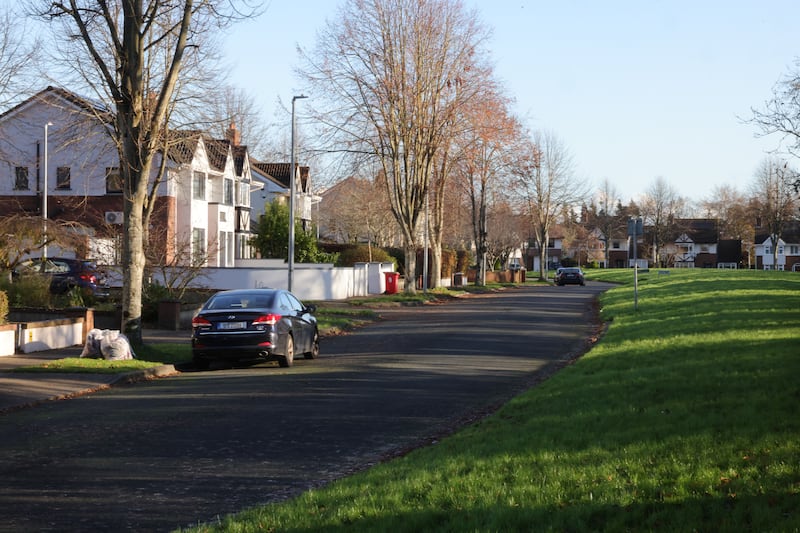 Luttrellstown, Castleknock. Photograph: Alan Betson

